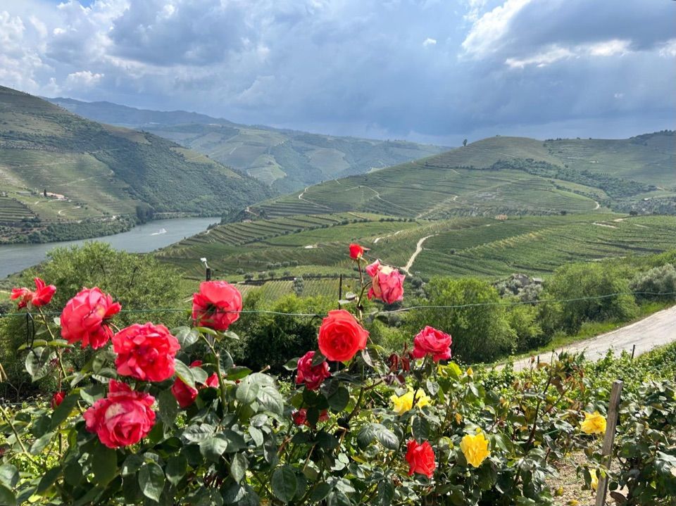 Point de vue sur la vallee du Douro